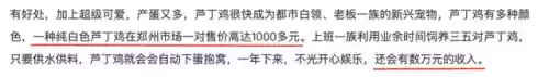 米利虫子阵容(米拉奇战记阵容推荐)插图32