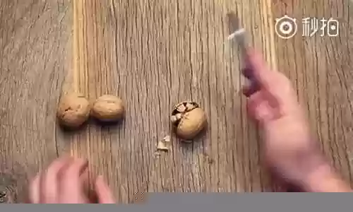 核桃搭配阵容测试