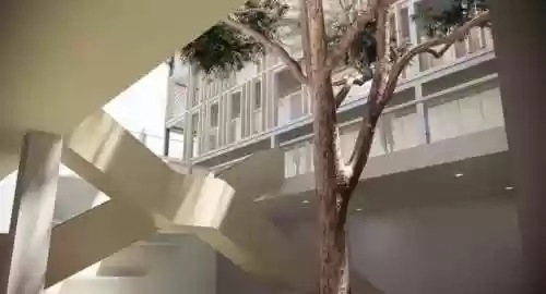 附属美丽阵容(附属美丽那三个是人吗)插图11