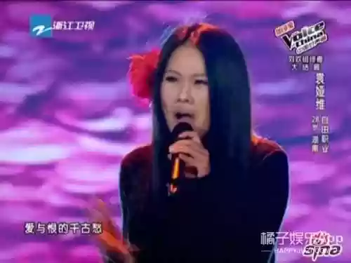 歌手乐手阵容(音乐人和歌手的区别)插图15