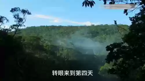 42刺鼠阵容(424阵型的克星)插图5