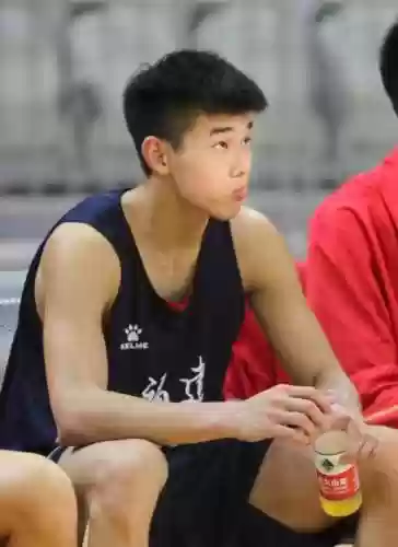 树苗反弹阵容(植物大战阵容搭配)插图5