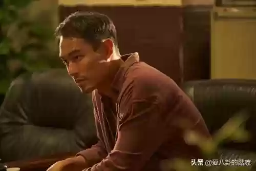 林心如新剧阵容(林心如第二个宝宝几个月)插图8