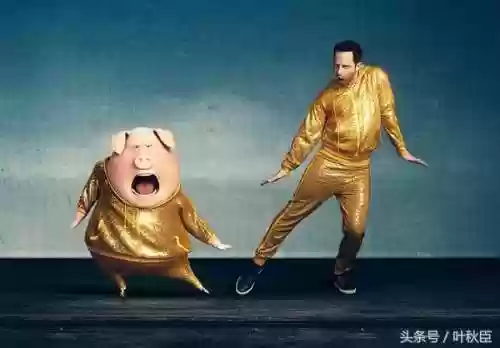 公猪搭配阵容(苏太猪配什么猪最好)插图12