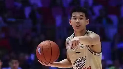 树苗反弹阵容(植物大战阵容搭配)插图8