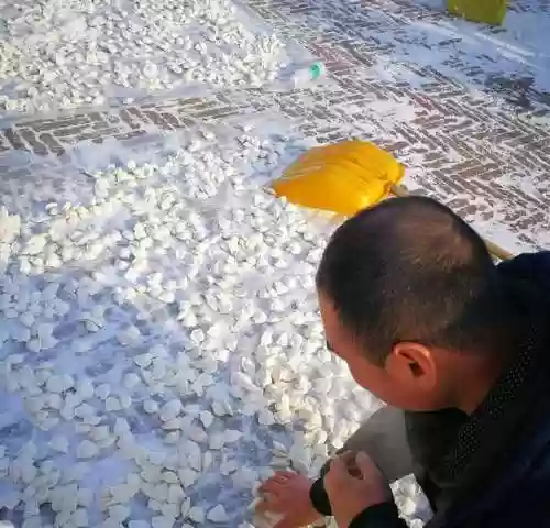 饺子阵容搭配(韭菜馅饺子怎么调好吃？)插图3