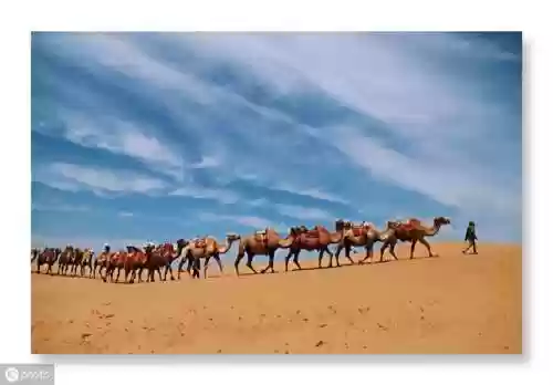 阵容小作文(有趣的拼句游戏作文)