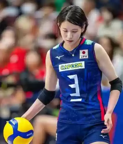大蓝猫阵容(英短蓝猫长大后的样子)插图9