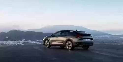 红心芭乐阵容(红心芭乐不能和什么一起吃)插图6