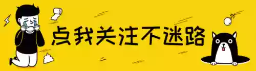 申花前场阵容(上海申花1995阵容)