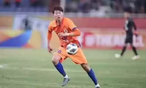 鲁能核心阵容(鲁能球员全部名单)插图6