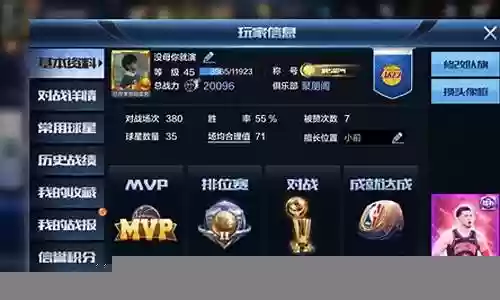 铂金最强阵容搭配