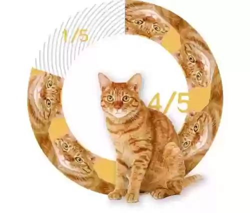 猫猫玄学阵容(猫之城t0阵容)插图22