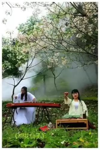 雅丽新月阵容(雅典娜和纱织阵容搭配)插图2