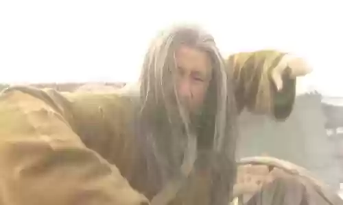 风雷剑阵容(0命雷电将军阵容搭配)插图13