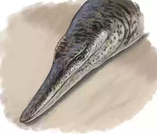 远古鳄鱼阵容(巨兽战场阵容)