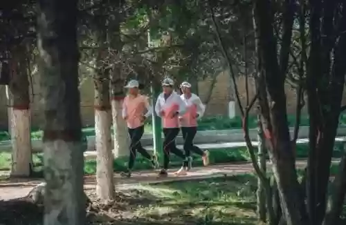 高原精英阵容(剑与远征新手阵容)插图10