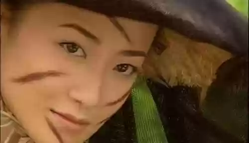 周芷若小昭阵容(新倚天屠龙记手游阵容推荐)插图7
