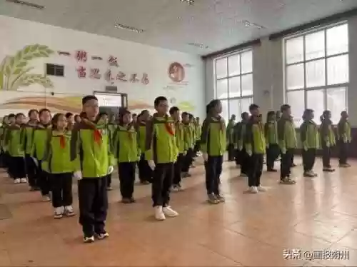 原地立正阵容(航海王启航击倒队阵容怎么搭配)插图2 原地立正阵容(航海王启航击倒队阵容怎么搭配)插图2