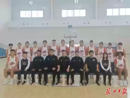 白鹤什么阵容(白日阵容配什么式神)