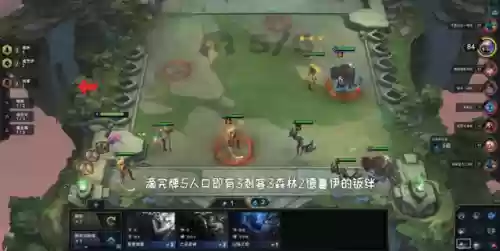法海大海阵容(航海王最强阵容推荐)插图2