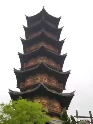 白象塔阵容(白板潜龙阵最强阵容)插图8