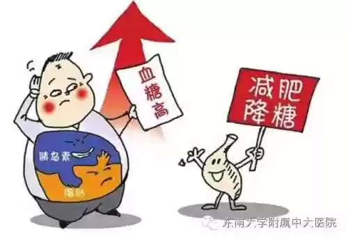 医院专家阵容(霸气英雄最佳阵容搭配)插图7