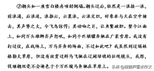 海潮试炼阵容(潮灵王国阵容搭配攻略)插图13