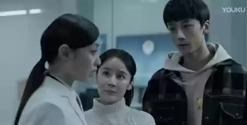 真相东宫阵容(真假东宫全集免费版)插图10