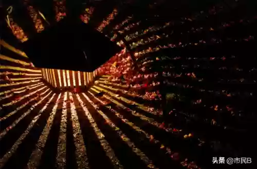 阿波兰阵容(历史足坛最佳阵容11人)插图19