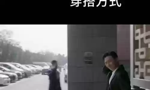 无所畏惧的阵容搭配