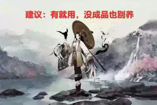 鬼王阵容2021(地域鬼王高分阵容2023)插图2