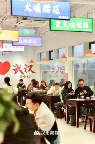 部落排队阵容(部落冲突攻略大全阵型分享)插图18
