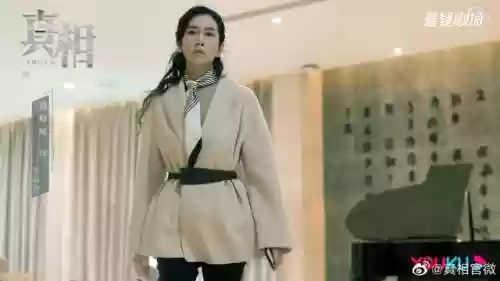 真相东宫阵容(真假东宫全集免费版)