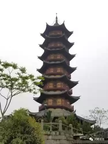 白象塔阵容(白板潜龙阵最强阵容)插图7