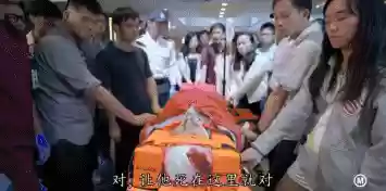 黑金医生阵容(火毒队最强阵容)插图26