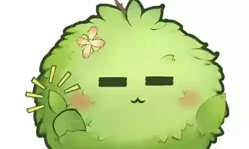 小草的阵容搭配