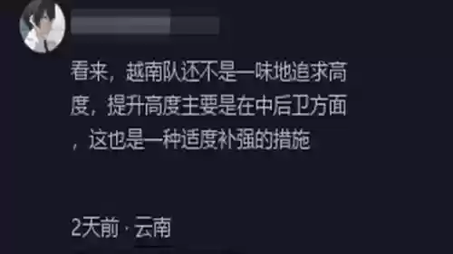 越南奇葩阵容(越南游戏名字大全可复制)插图1