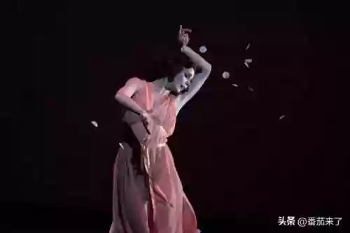 芭蕾西红柿阵容(芭蕾舞分为几个流派)插图4