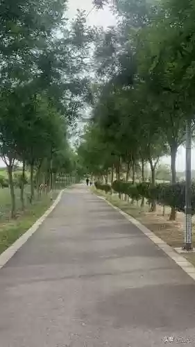 好运成双阵容(好孕成双兑解释)