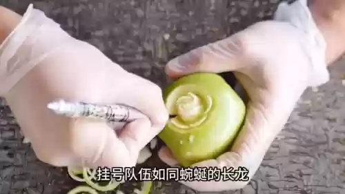 暗黑深渊阵容(暗黑地牢阵容搭配和技能)插图1