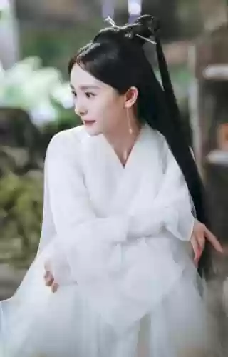 浮世荟阵容(浮生为卿歌阵容搭配)