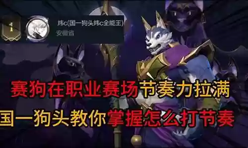 赛狗搭配什么阵容