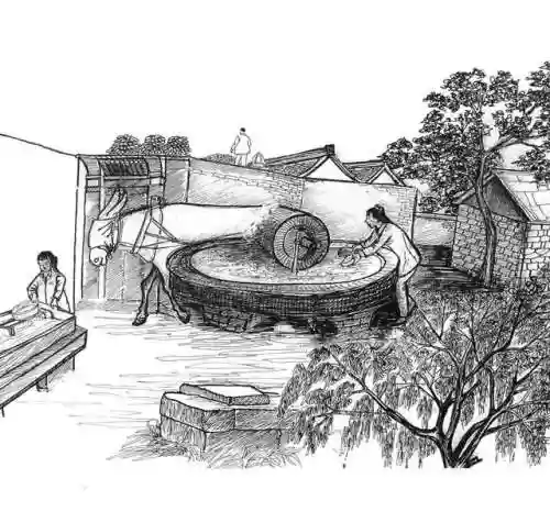 白鹤反手阵容(白鹤亮翅招式分解)插图2