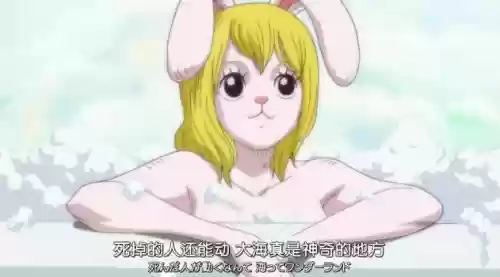 海贼最终阵容(海贼王启航阵容推荐)插图2