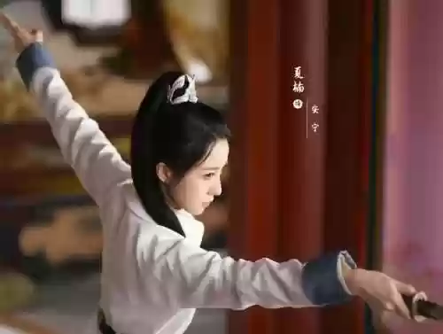 有神里阵容(神里绫华推荐阵容)插图4