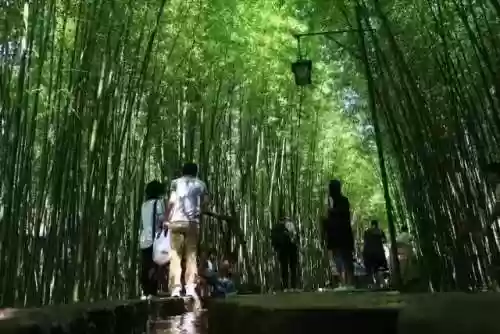 清乐竹林阵容(阴阳师单体阵容)插图15