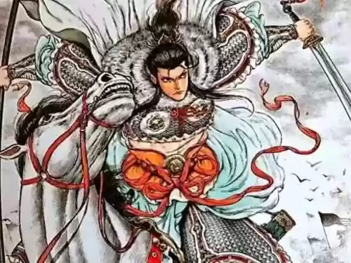 杨家将实力阵容(杨家将十二寡妇征西武功排名)插图4