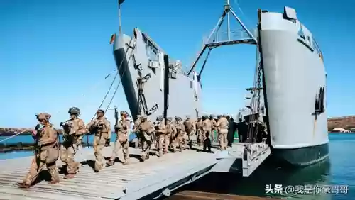 雷达通关阵容(宝可梦剑盾通关阵容)插图6