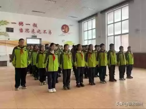 原地立正阵容(航海王启航击倒队阵容怎么搭配)插图1 原地立正阵容(航海王启航击倒队阵容怎么搭配)插图1